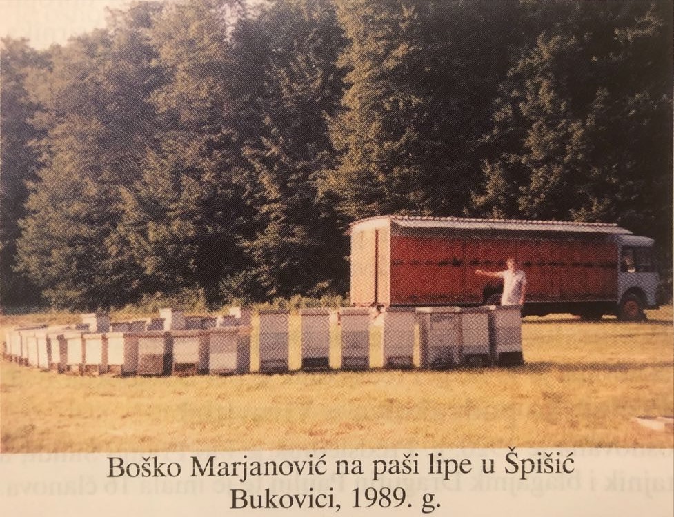 Vrcanje meda